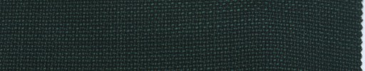 【Ca_tws10】ダークグリーン