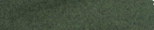 【Ca_93w713】グリーン