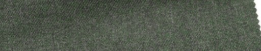 【Sb_6w55】グリーン